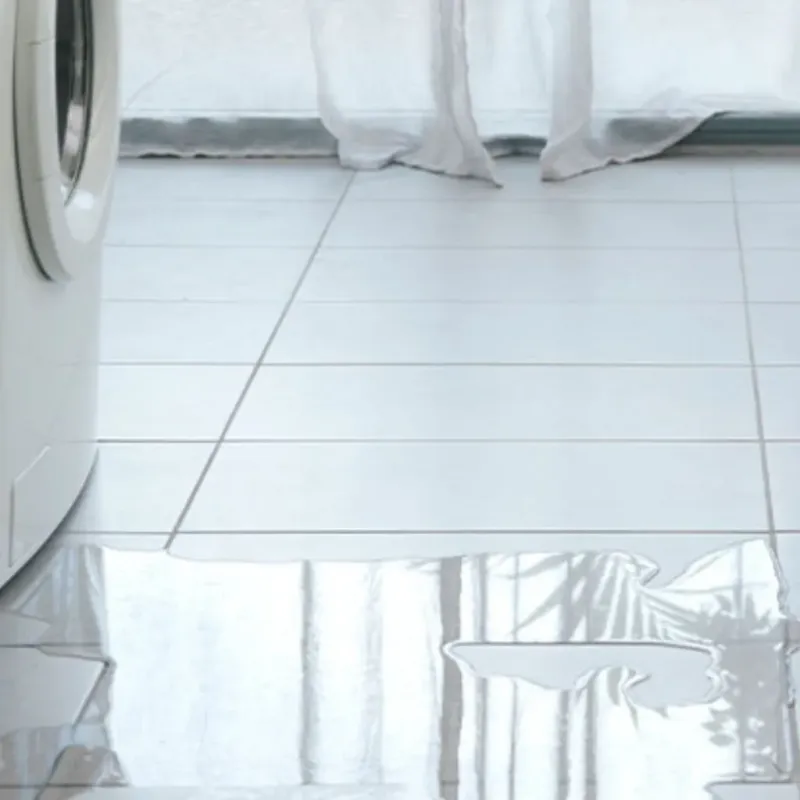 Appliance Leak Cleanup in Nauvoo, IL