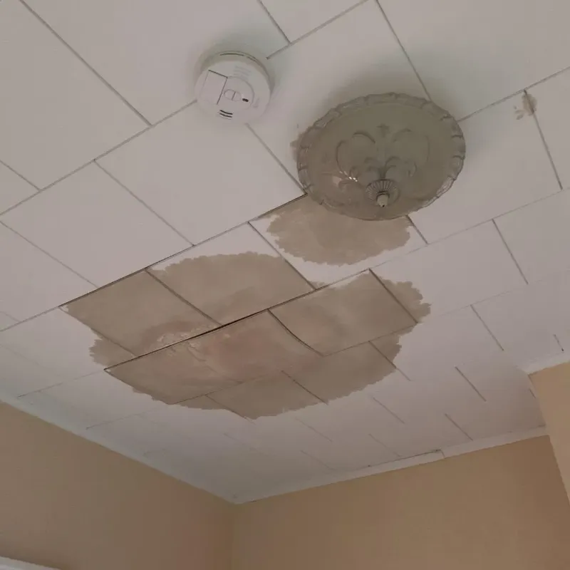 Ceiling Water Damage Repair in Nauvoo, IL