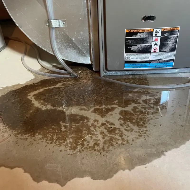Pipe Burst and Leak Restoration in Nauvoo, IL