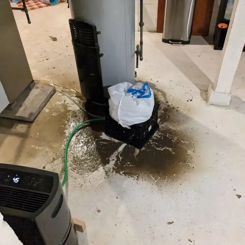 Sewage Backup Cleanup Service in Nauvoo, IL